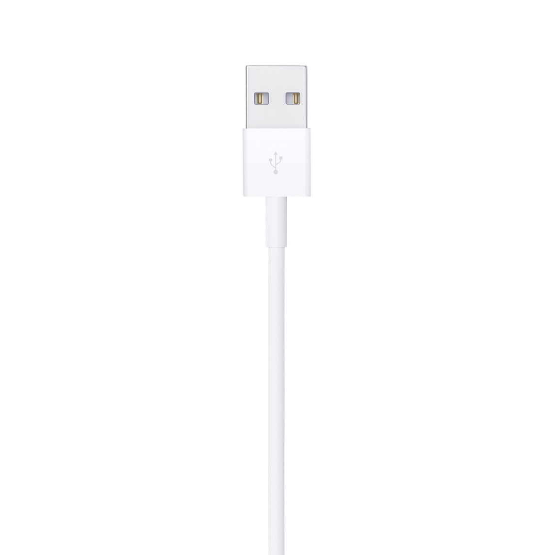 Câble de recharge Apple USB - LIGHTNING
